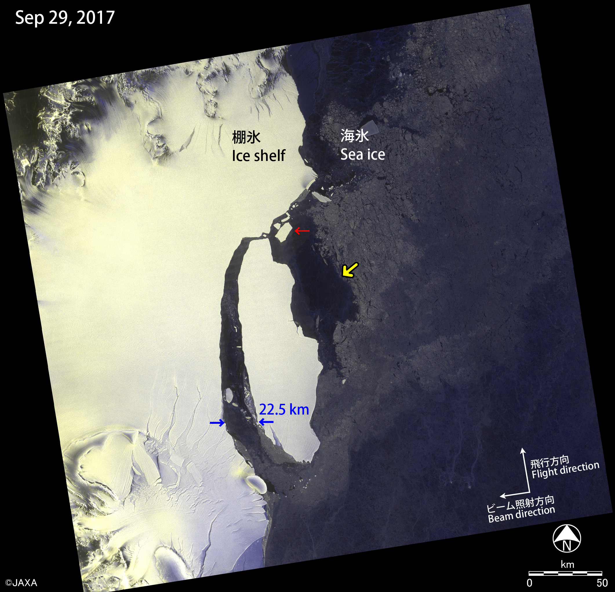 図6(左):「だいち2号」による2017年9月29日の観測画像。