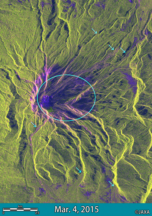 カルブコ火山周辺のPALSAR-2観測画像 (2015年3月4日, 噴火前).