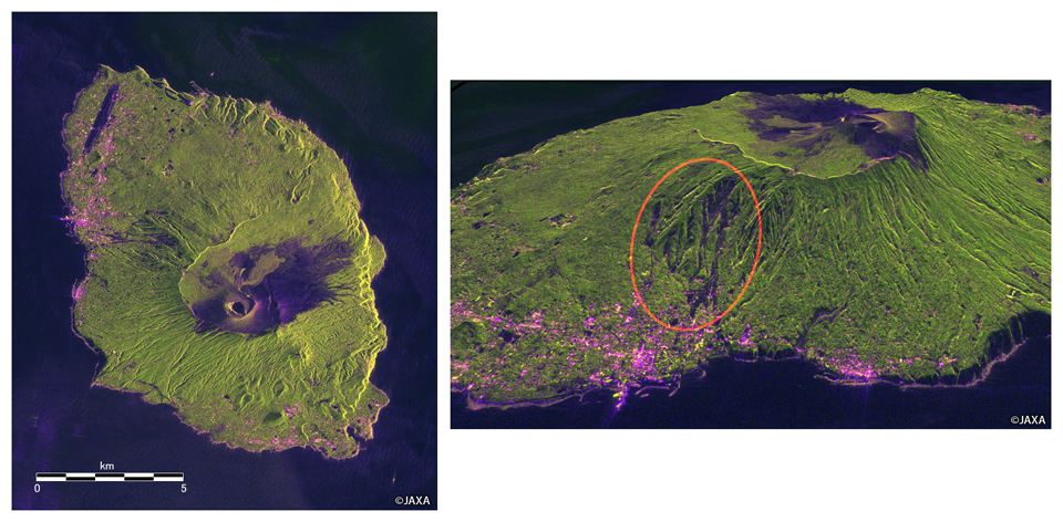 図3: 「だいち2号」搭載PALSAR-2による伊豆大島の観測画像