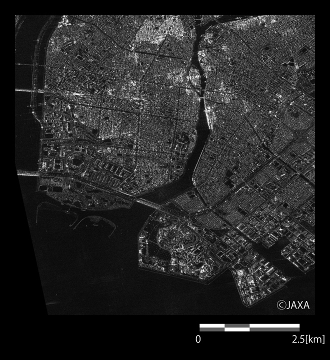 図2: 2014年6月22日のPALSAR-2観測画像による葛西臨海公園、ディズニーリゾート付近
