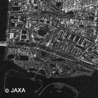 2014年6月22日のPALSAR-2観測画像による葛西臨海公園