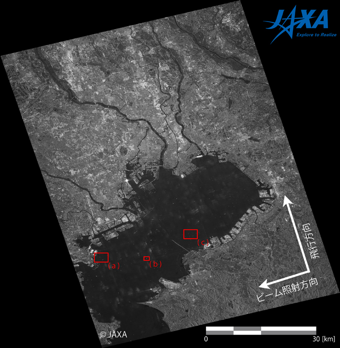 Figure 2. PALSAR-2 image over Tokyo Bayy