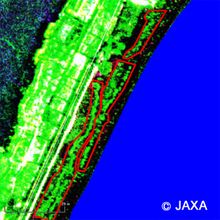 宮城県名取市閖上浜の航空機搭載合成開口レーダ (Pi-SAR-L2) 観測による強度画像、赤枠内の明るく輝く長い筋は砂浜に埋没された物の存在を示唆している
