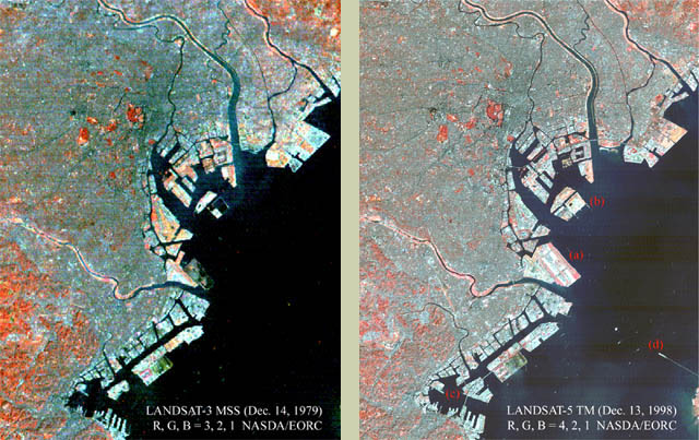 False color images of Tokyo Bay acquired by LANDSAT-3 MSS in 1979, and by LANDSAT-5 TM in 1998