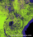 The color Mosaic (50m Orthorectified Mosaic) of Central Africa for 2008.