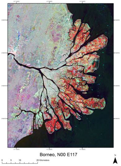 JERS-1 (1996) and ALOS PALSAR (2007, 2010) color composite of East Kalimantan (R:1996, B:2007, G:2010). The red areas have largely changed from mangrove forest in 1996 to aquaculture by 2007.