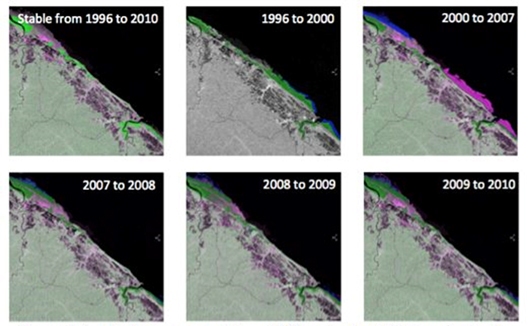 Changes in the extent of mangroves in French Guiana showing stable (green), advancing (blue) and retreating mangroves (red).