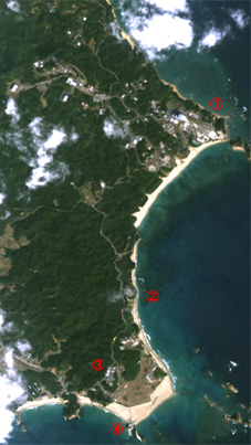 The area of Tanegashima Island was enlarged