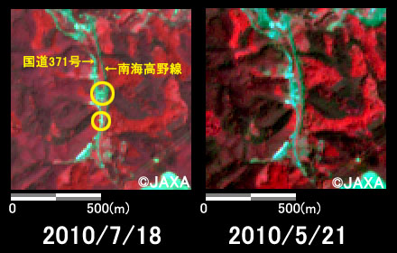 Fig.4: Enlarged images of Amami, Kawachinagano city, Osaka pref (1 square kilometer, left: Jul. 18, 2010; right: May 21, 2010).