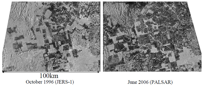 Fig. 1 Amazon deforestation in 10 years as determined using L-band SAR data. Left: Image of Amazon forest area acquired by JERS-1/SAR in 1996. Right: Image of same area acquired by ALOS/PALSAR in 2006.