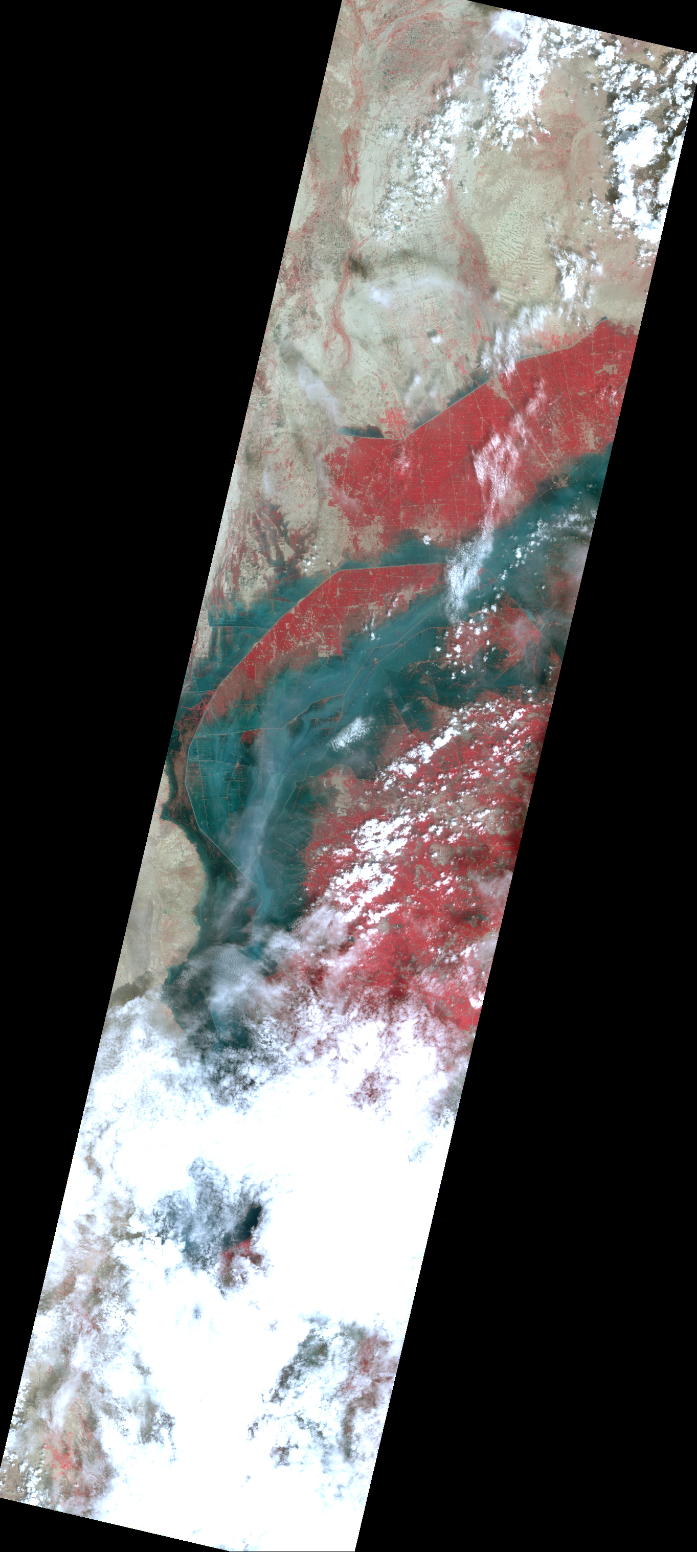 Fig.1(False color): AVNIR-2 image with 0.0 degree pointing angle acquired 15:14 (JST) or 6:14 (UTC) on September 11, 2010 (JST).