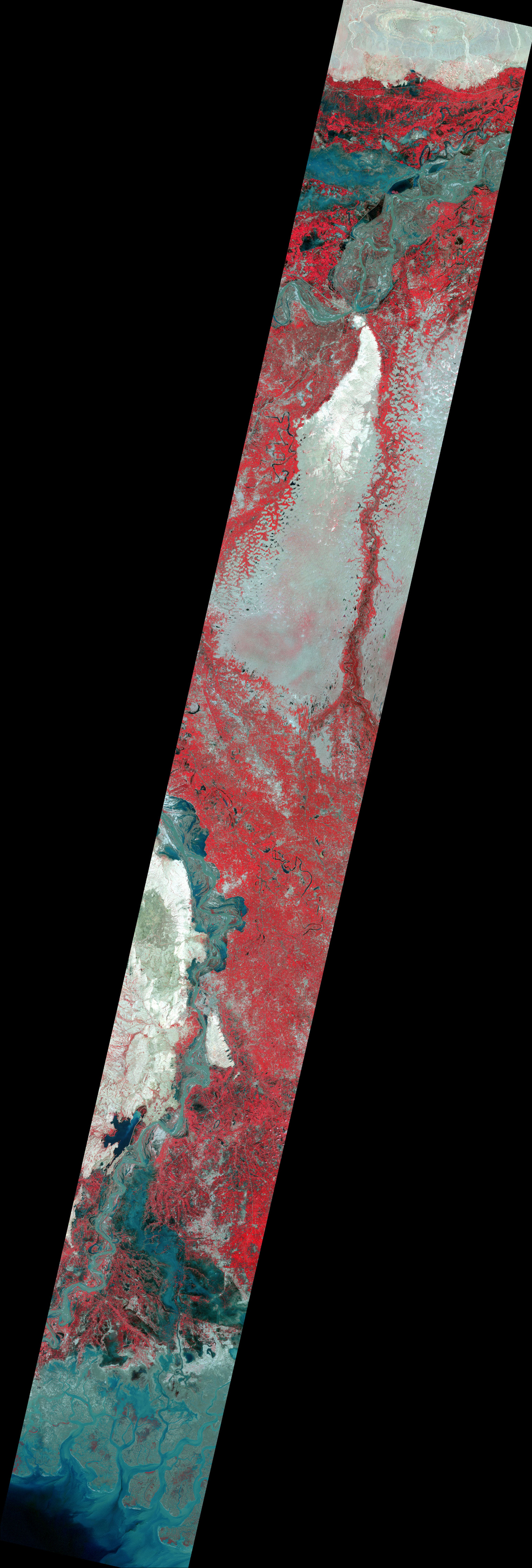 Fig.1(False color): AVNIR-2 image with 0.0 degree pointing angle acquired at 15:04 on September 23, 2010 (JST).