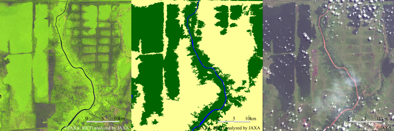 Fig.3-4: 10-meter resolution SAR mosaic image of Central Kalimantan, Forest/Non-forest map, AVNIR2 image