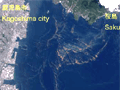 AVNIR-2が観測した鹿児島湾沿岸の赤潮