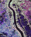 Pi-SAR-L(2011年9月24日観測、R:G:B=HH偏波:HV偏波:VV偏波、)によるSing Buri(シンブリ)県のIn buri(インブリ)市の川沿いに位置する市街地とその周辺に広がる耕作地帯を観測した画像