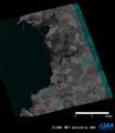 2010年2月27日15時34分頃(日本時間)に発生したチリ中部の沿岸地震の地震前後に観測したPALSAR強度画像をカラー合成しており、赤色に地震後、青色に地震前の画像を重ね合わせたもの。赤色の変化は地震後に地表面からの反射が強くなっている領域、青色変化は逆に反射が弱くなっている領域を表す。