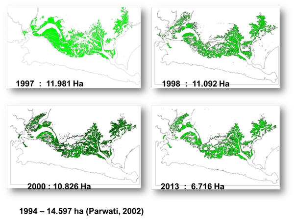 Mangrove change 1994-2013
