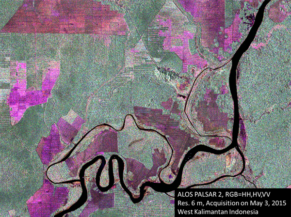 Satellite Data Acquisition: Image by ALOS-2 Data