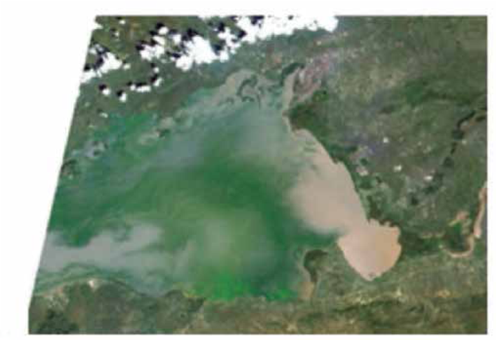 ALOS AVNIR-2によるビクトリア湖面の画像