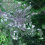 衛星画像で見るサッカーワールドカップ会場
