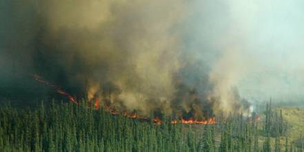 2010年7月26日に小型飛行機から撮影したアラスカの森林火災の写真
