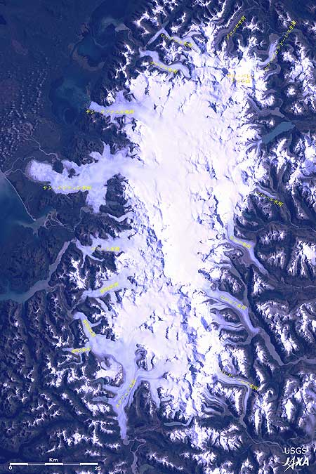 北パタゴニア氷原の広域図