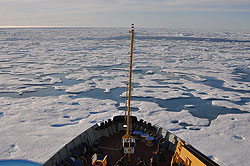海氷密接度約90%の様子