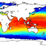 2002-2003 El Niño Event Observed by AMSR-E