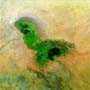 Green Carpet Surrounds Lake Chad; the Lake in the Sahara Desert