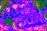 Pacific
Surface Winds