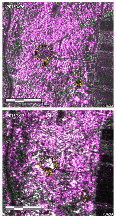 Fig.3: The enlarged image at a part of Kathmandu. Top: after the earthquake (April 26, 2015), bottom: before the earthquake (March 13, 2015). 