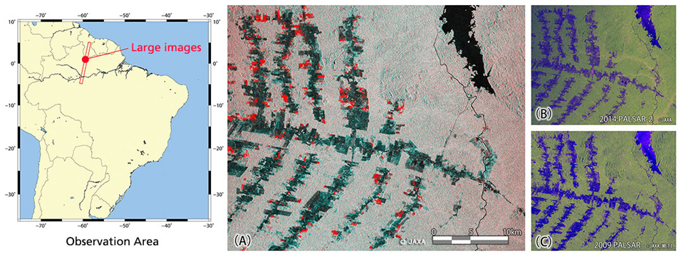 Image 6: Deforestation in Amazon captured by PALSAR-2