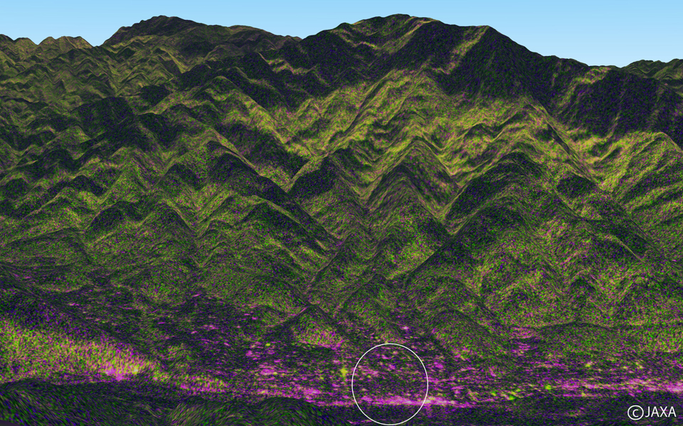 図3: PALSAR-2カラー合成画像の鳥瞰図