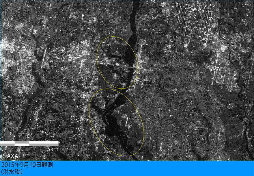 図5:PALSAR-2による筑西市付近の洪水後の観測画像