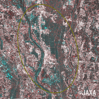 PALSAR-2観測による茨城県常総市付近。洪水前の2015年8月13日と同年9月10日午前11時43分頃の画像を色合成したもの。川幅が増大した部分が川沿いに暗い水色で示されており、また、川の東側のさらに暗い水色の領域は浸水している可能性がある（図中の黄色の円内の領域）。