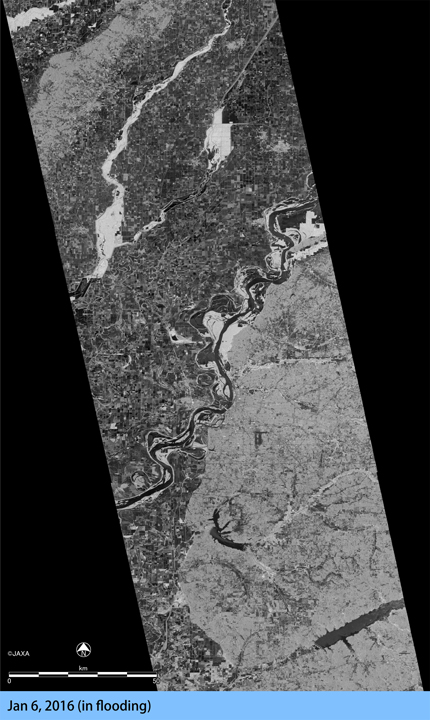 ミシシッピ川周辺の洪水後のPALSAR-2観測画像 (2016年1月6日).