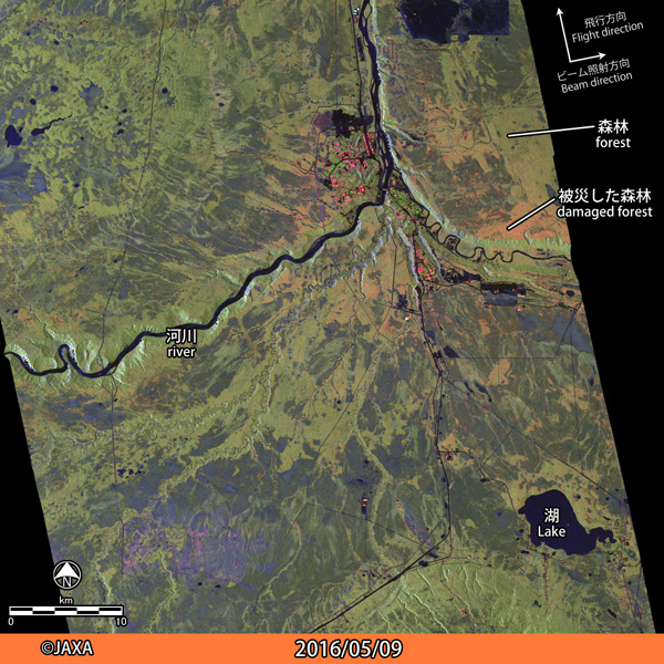 カナダ・アルバータ州フォートマクマレー付近の火災後のPALSAR-2観測画像 (2016年5月9日).