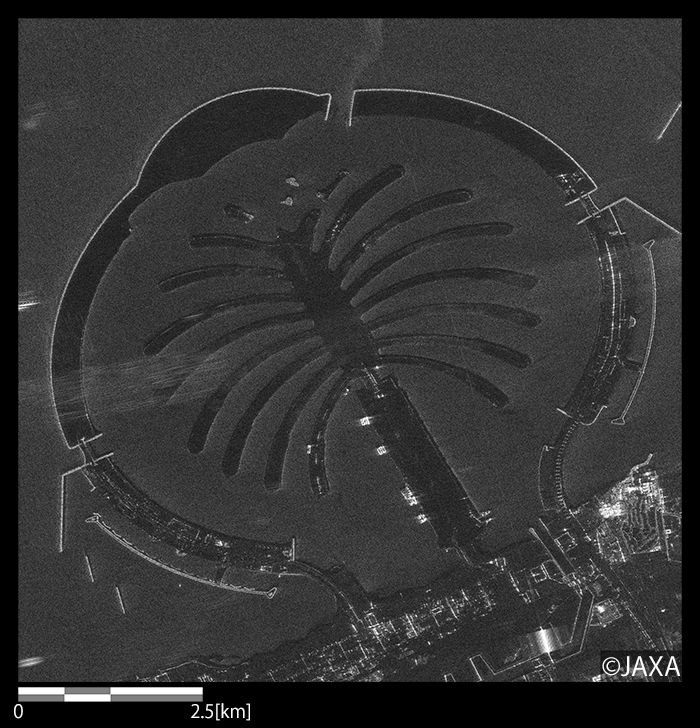 Figure 5. The Palm Jebel Ali