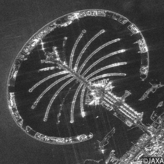 Observation image of The Palm Jumeira by PALSAR-2