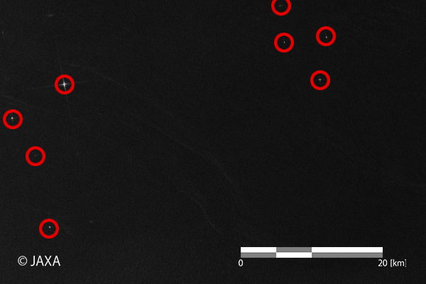 Figure 10. Identified ships in the red box (f) in Figure 9 (The bright points with red circles are estimated to be ships).