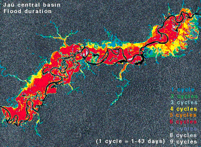 Flood duration in the Jau River, Amazon, Brazil.