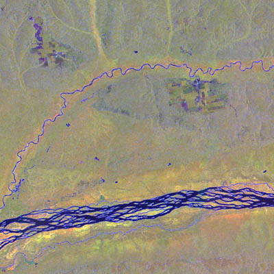 Forest classification using Multi-temporal JERS-1 SAR Image of the Congo River in Central Africa