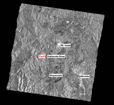 Amplitude image of JERS-1 SAR.