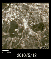Observation Results of ALOS/PRISM and AVNIR-2, at west of the capital city of Port-au-Prince in Haiti (750m squares; acquired on May 12, 2010).