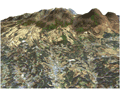 Pan-sharpen image with generated digital surface model (DSM) using PRISM and AVNIR-2 images over Kujyu mountain range, Oita Pref., Japan.