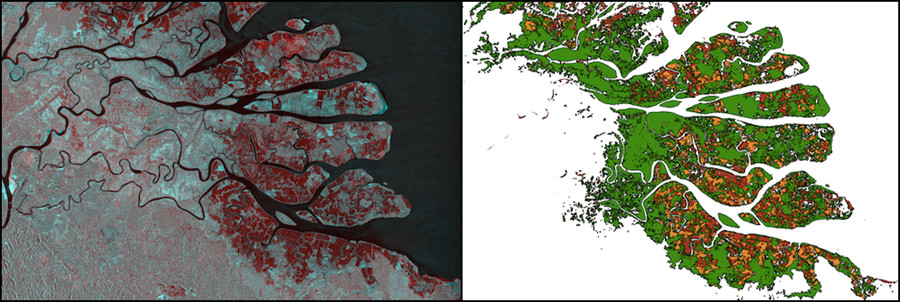 Kahan river delta, North Kalimantan, Indonesia. (a–Left) Multi- temporal SAR composite (1996 JERS-1 SAR and 2016 ALOS-2 PALSAR-2) (b–Right) Mangrove extent and changes, Red – mangroves lost 1996-2007, Orange – loss 2007-2016, Green – mangrove cover in 2016.