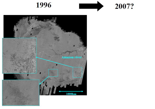 Fig. 3 JERS-1/SAR mosaic image taken in 1996 over the Amazon. 
