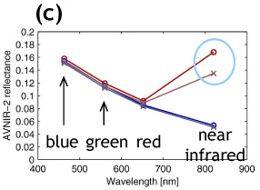 (c) spectral plots at two discoloration (red) and two non-discoloration areas (blue).