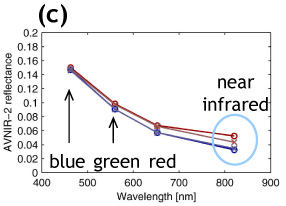 (c) spectral plots at two discoloration (red) and two non-discoloration areas (blue).