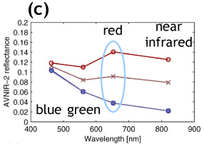 (c) spectral plots at two discoloration (red) and two non-discoloration areas (blue).